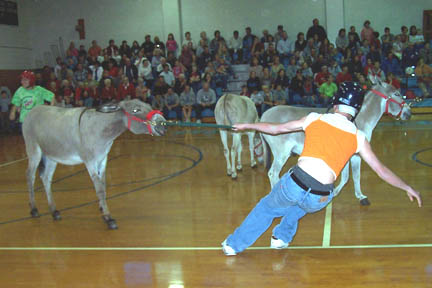 Donkey Basketball