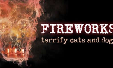Fireworks Shortage Presents the Perfect Opportunity for Change