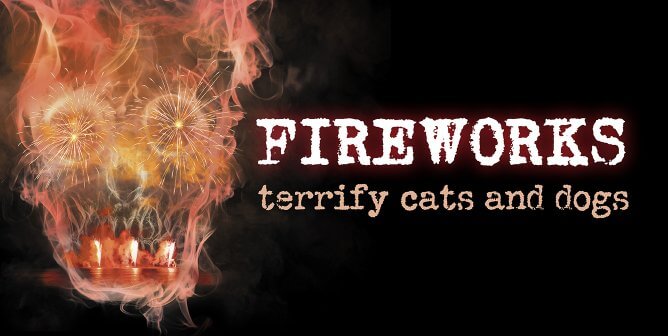 PETA ad for no fireworks for 4th of July