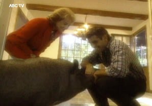 George Clooney and His Pig.jpg