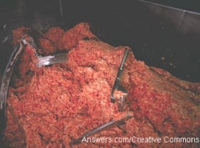 Ground Beef.jpg