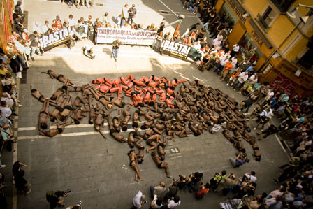 Pamplona protest