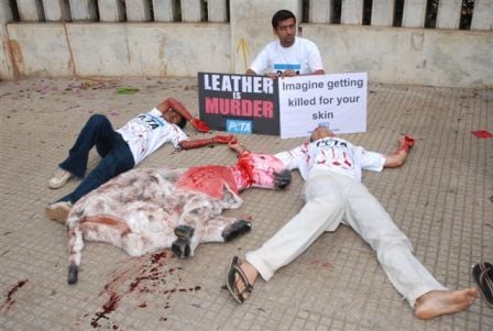 Indian_Leather_Protest_2.jpg