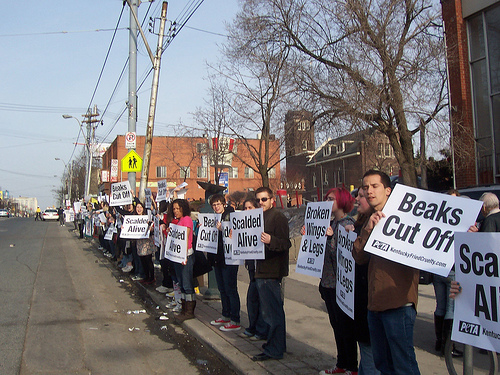 KFC_Demo_Toronto_2.jpg