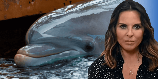 Kate del Castillo and sad dolphin at SeaWorld