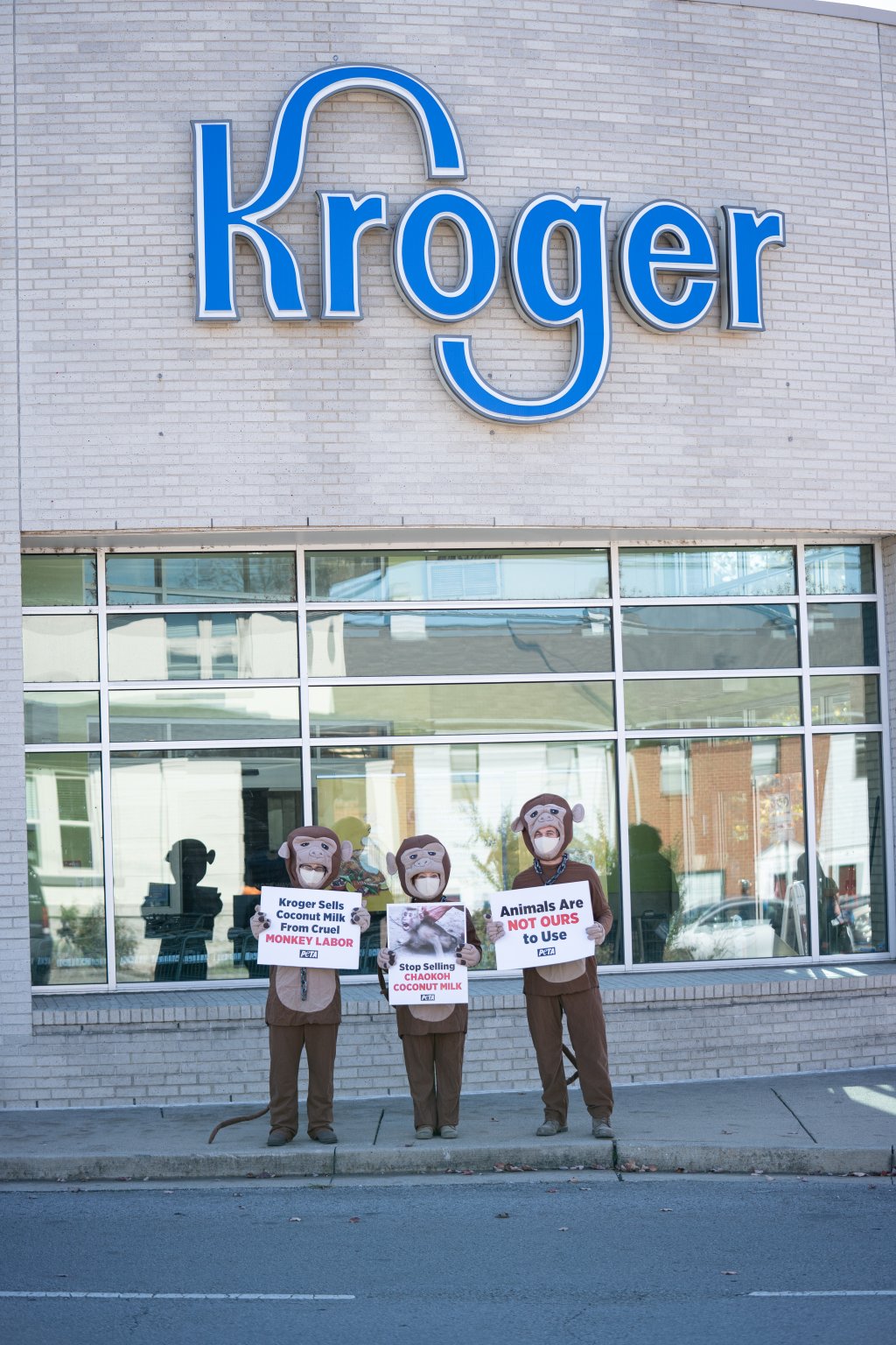 Kroger Stops Buying Coconut Milk Tied to Monkey Labor After PETA