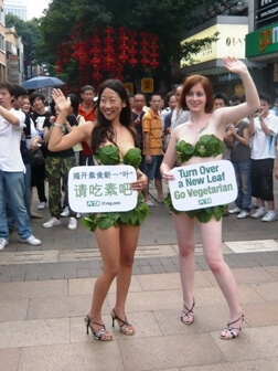 Lettuce Ladies