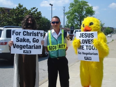Jesus and the chicken