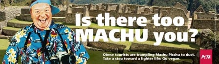 Machu Picchu Banner