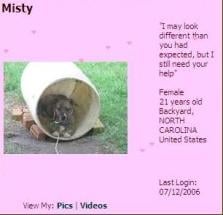 Misty's MySpace.JPG