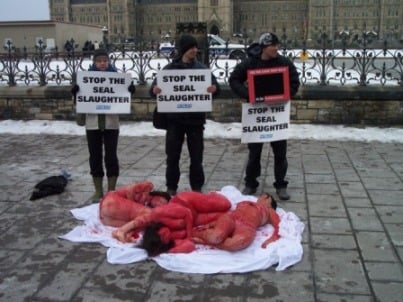 Ottawa seal protest 006.jpg