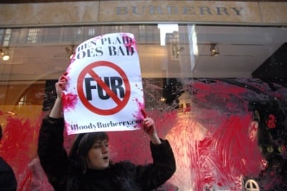 PETA Burberry Protest3.jpg