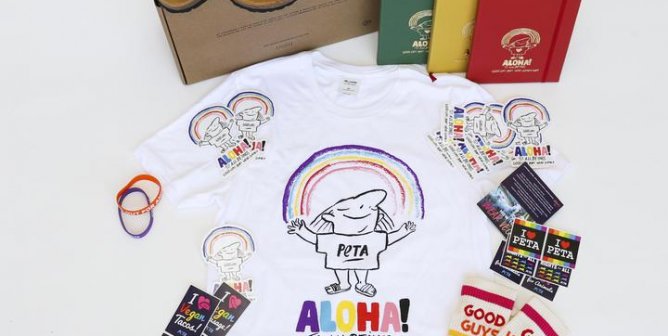 We’re Over the Rainbow for ‘Good Guys Don’t Wear Leather’