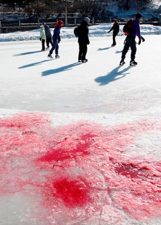 Canadian seal slaughter demo