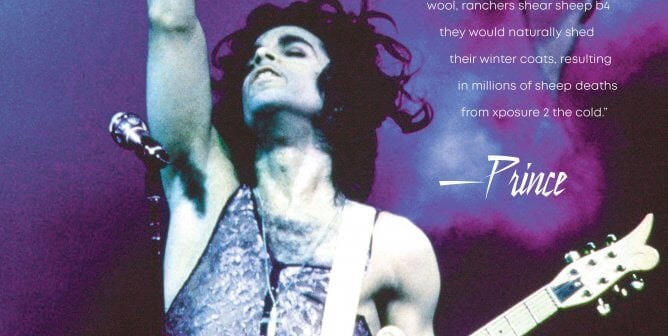 Prince: Please Use Vegan Knitwear