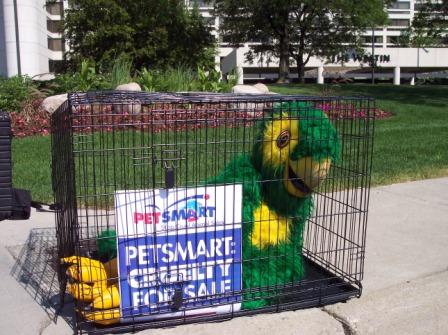 PetSmart_Chicago_Shareholder_meeting_demo.jpg