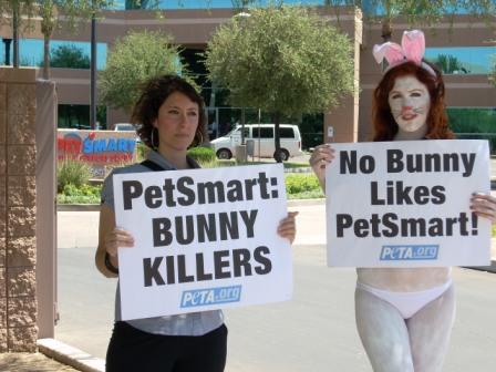 PetSmart_Rabbits_Demo_Phoenix_4.jpg