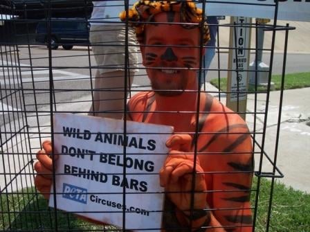 Ringling naked tiger protest Corpus Christi.JPG