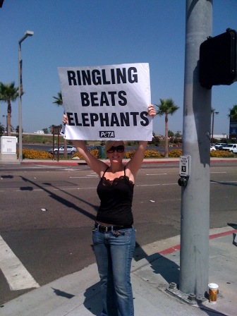 Ringling Bros Demo