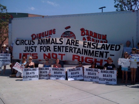 Ringling Bros Demo