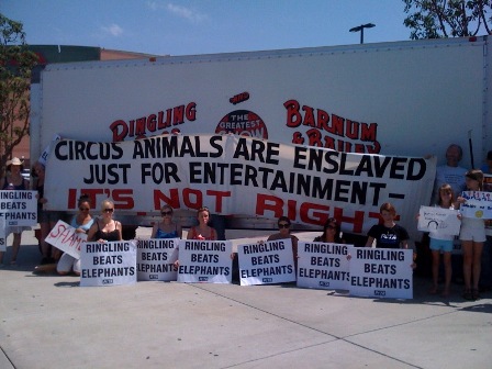 Ringling Bros Demo