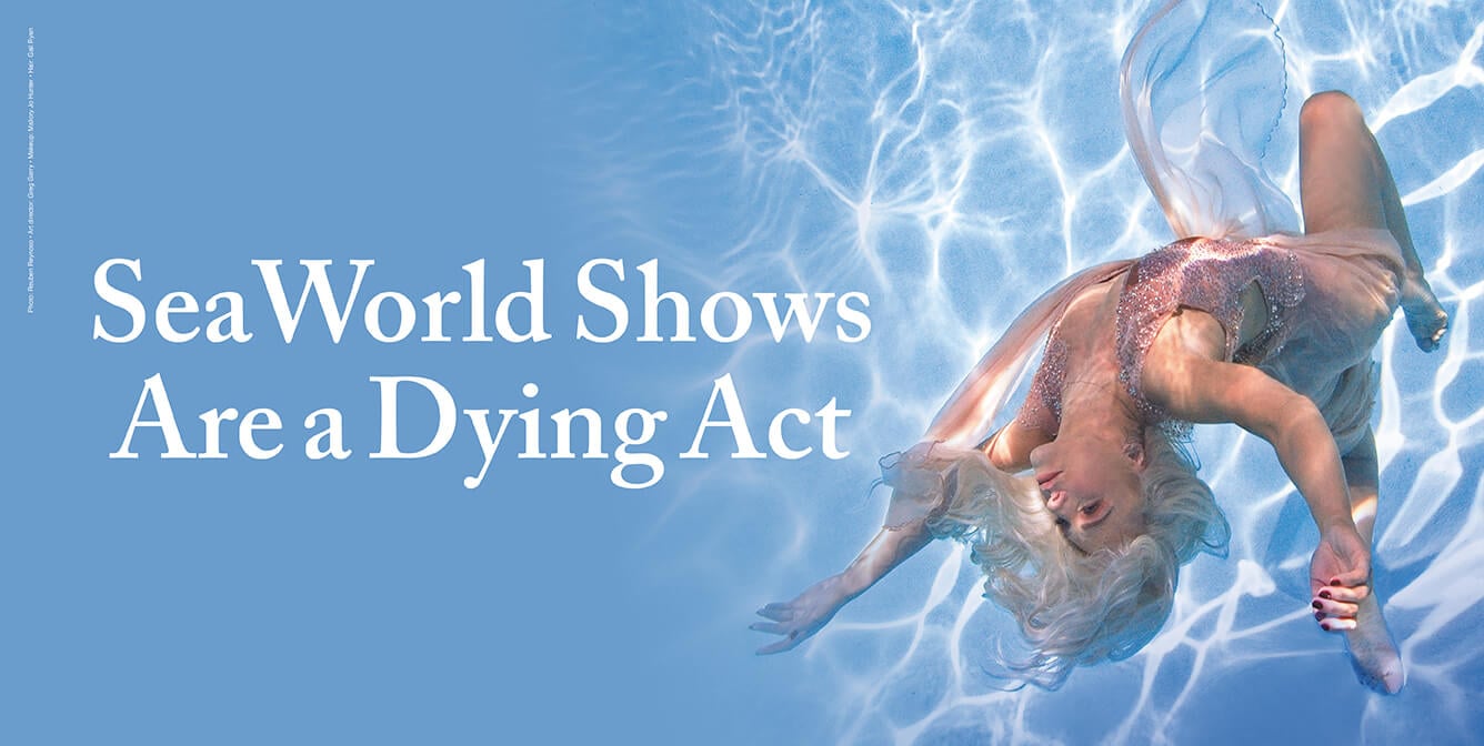 ‘DWTS’ Pro Sharna Burgess Calls Out SeaWorld PETA