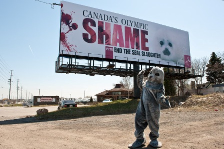 SHAME Billboard