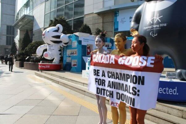 PETA Asia Canada Goose demo in Seoul