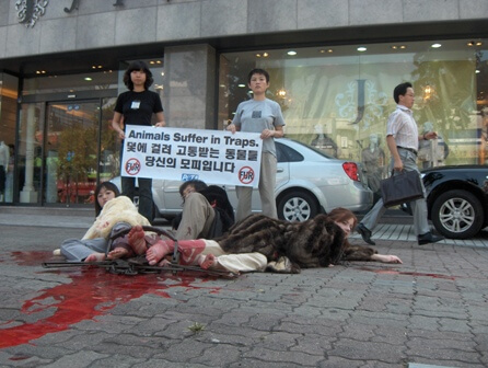 PETA Asia-Pacific Fur Demo