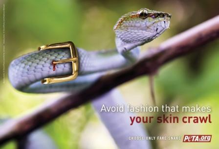 Snakeskin_Belt.jpg