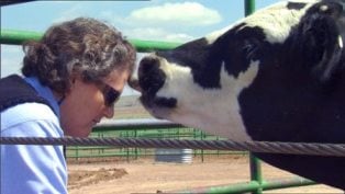 Temple Grandin.jpg