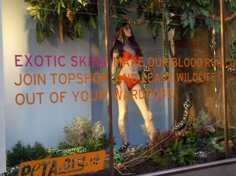 Topshop_Window_Display.jpg