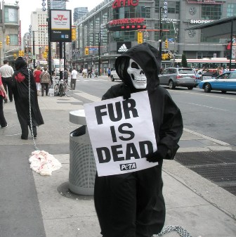 Toronto Grim Reaper