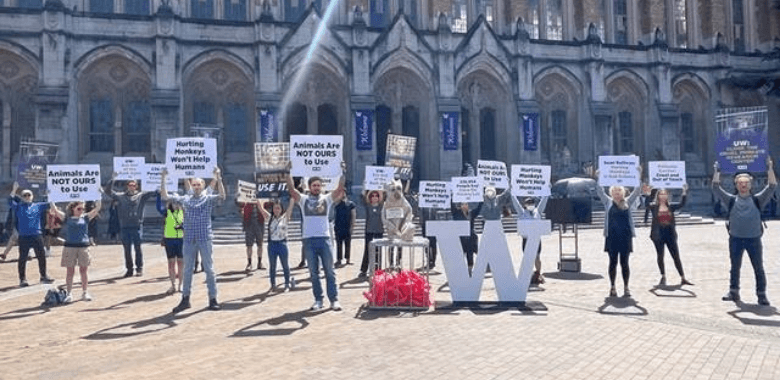 Monkey Defenders Swarm UW