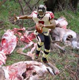 Vick_and_the_animals.jpg