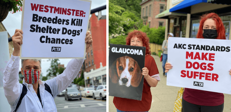 PETA Protesters to Westminster: Call Off the ‘Doggone’ Show