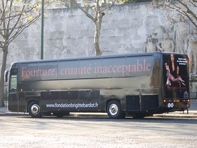 anti-fur bus1.jpg