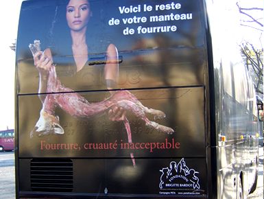anti-fur bus2.jpg
