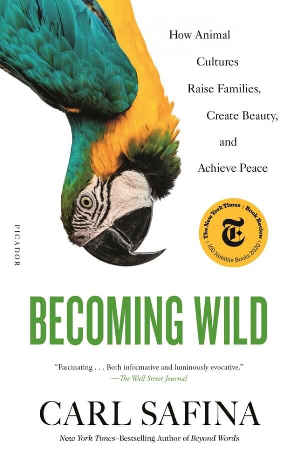 Becoming Wild for PETA's 2021 summer reading list