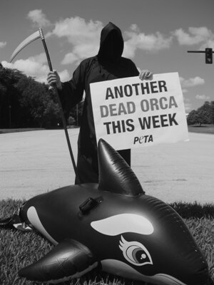 grim reaper
