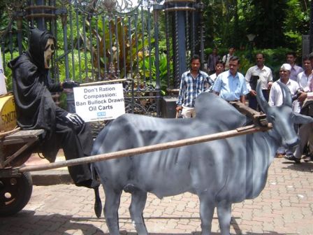 PETA India Demo