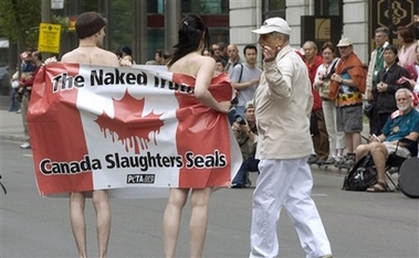 canada_day.jpg