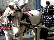 Horse drawn carriage