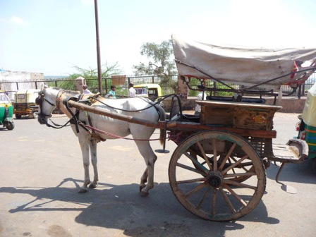 horse drawn cart