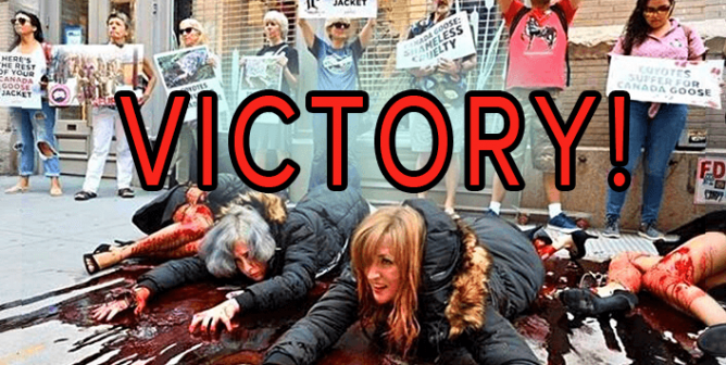 We Did It! Canada Goose Ditches Fur After Massive PETA Campaign