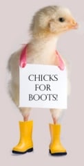 chicks_for_boots.jpg