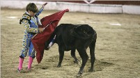 Child bullfighter