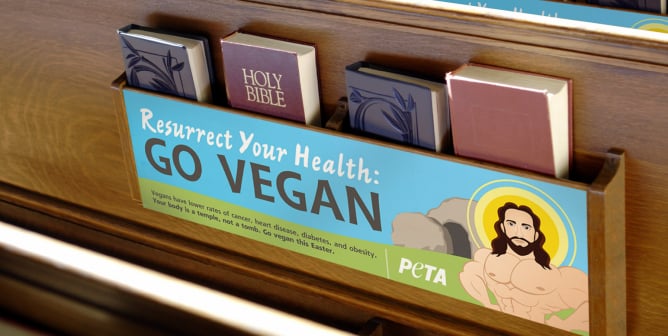16 Bible Verses That Are Telling You to Go Vegan | PETA