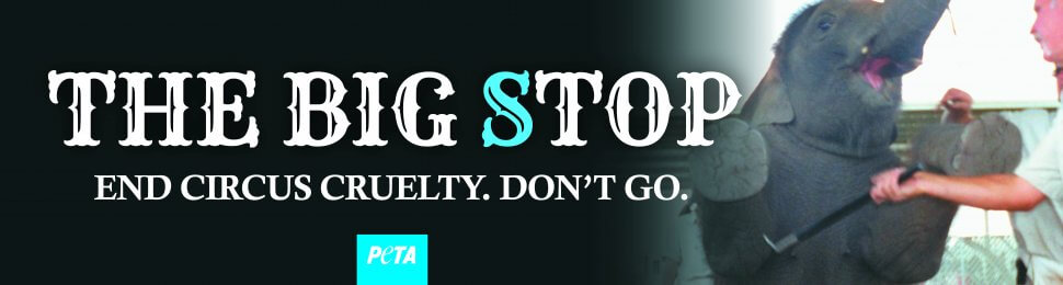 The Big Stop. End Circus Cruelty. Don’t Go.