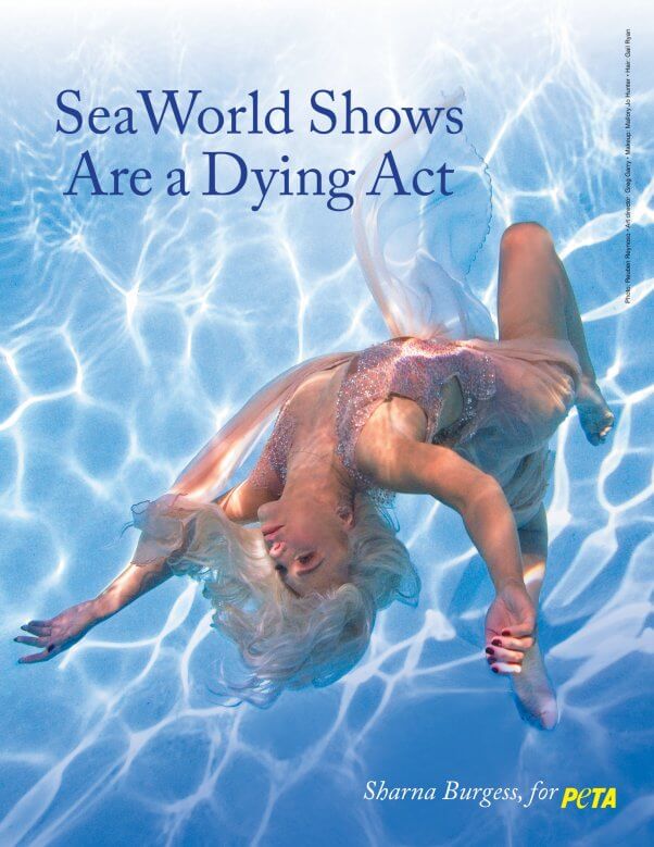 Sharna Burgess of Dancing With the Stars in a Anti SeaWorld Ad for PETA